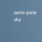 semi sky