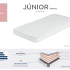 junior spring